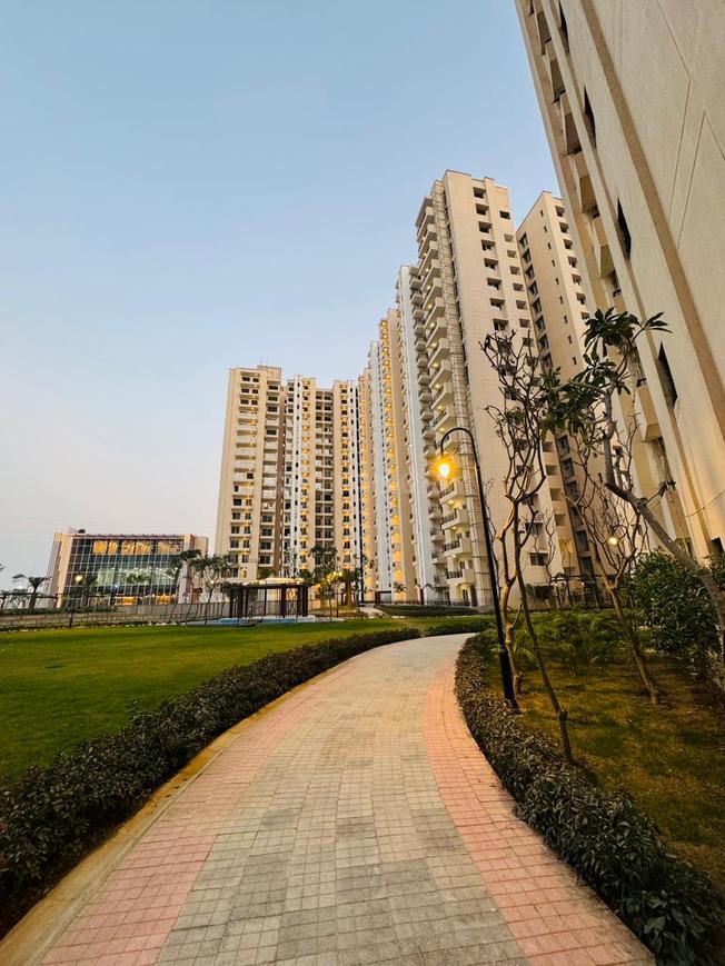 Oasis Grandstand - Image 45