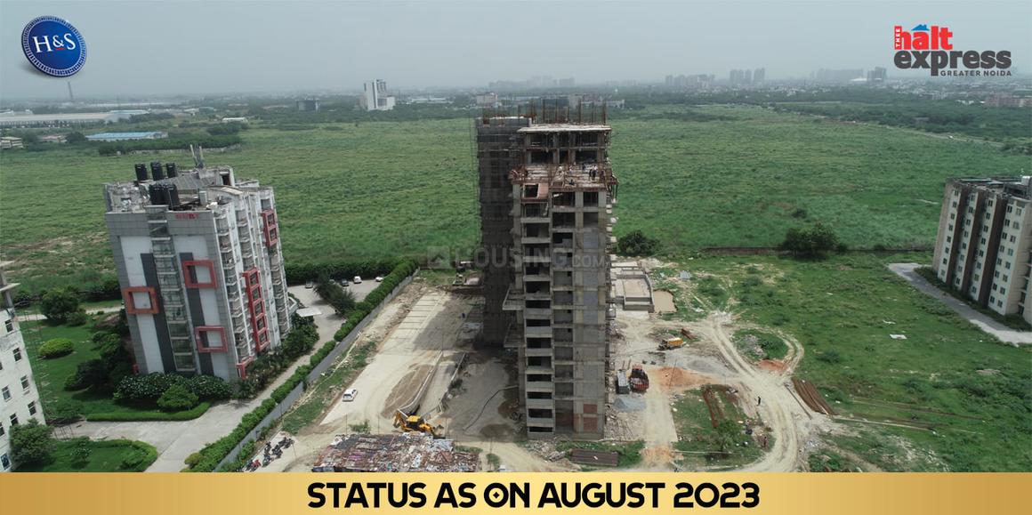 Beetle Orchid - Image 36