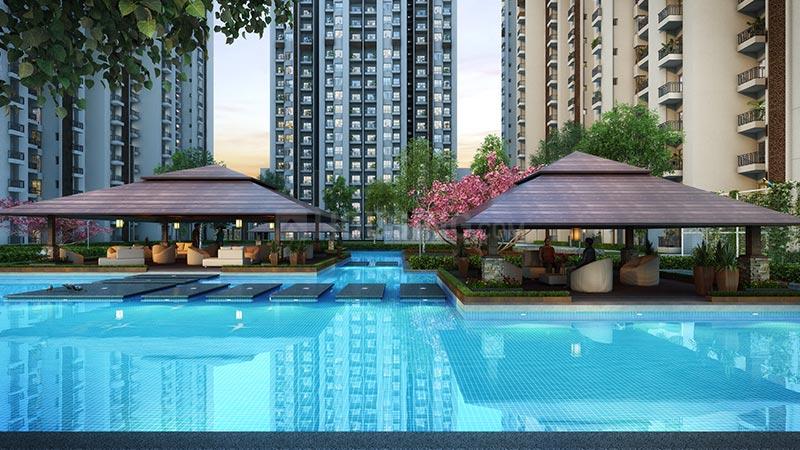 ACE Divino - Image 26