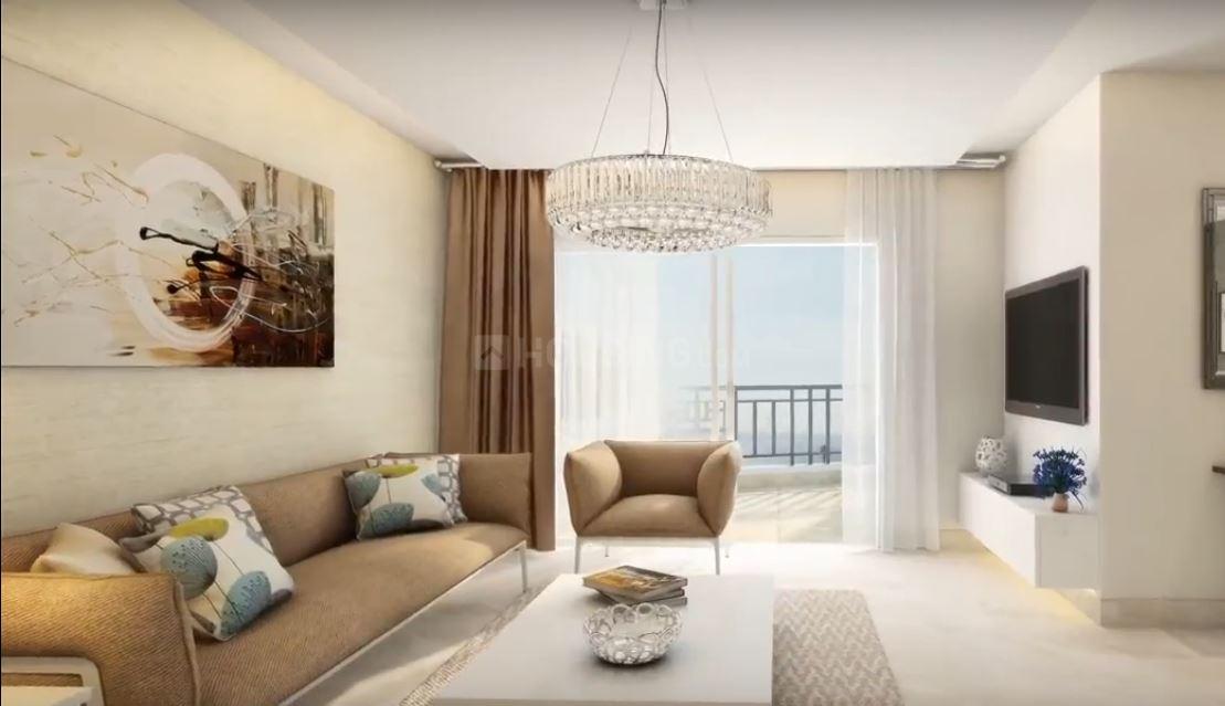 ACE Divino - Image 20