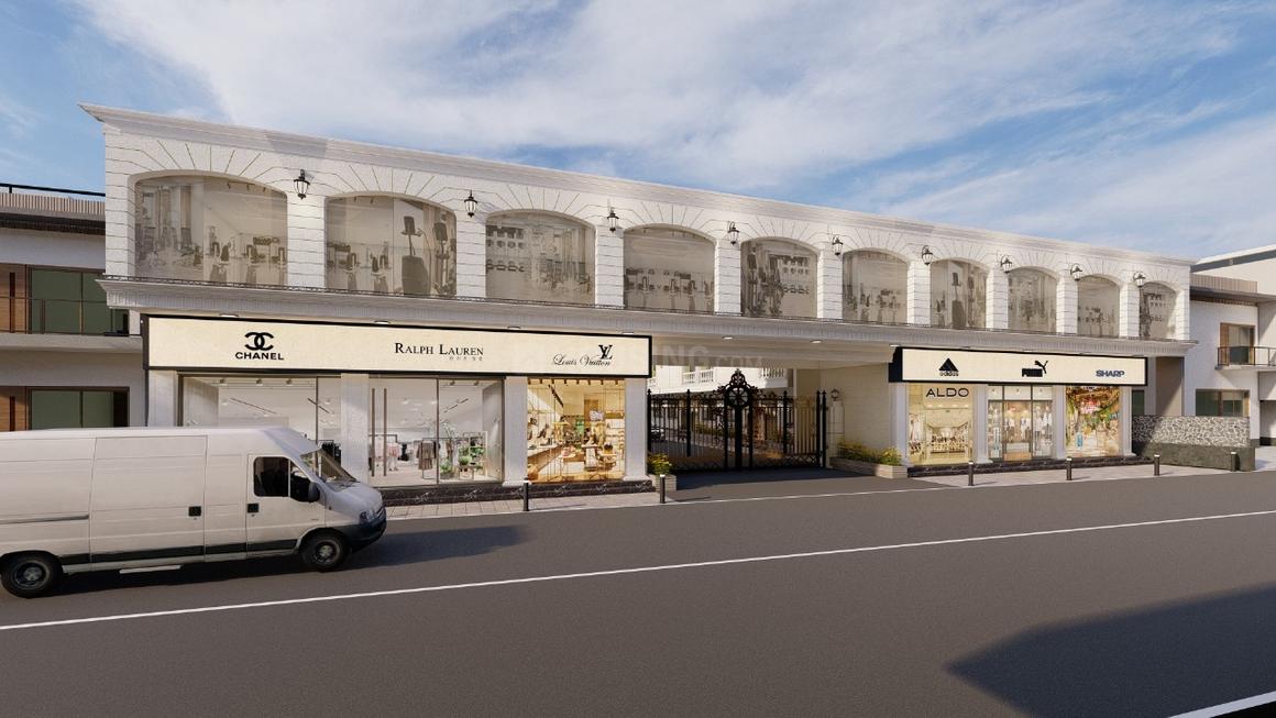 Trinity Primus - Image 5