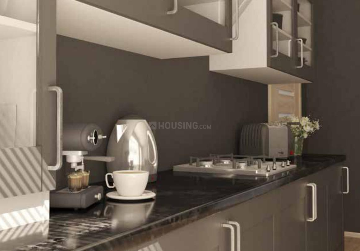 Nirala Trio - Image 5