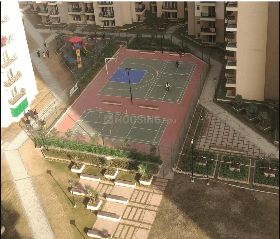 Exotica Dreamville - Image 27