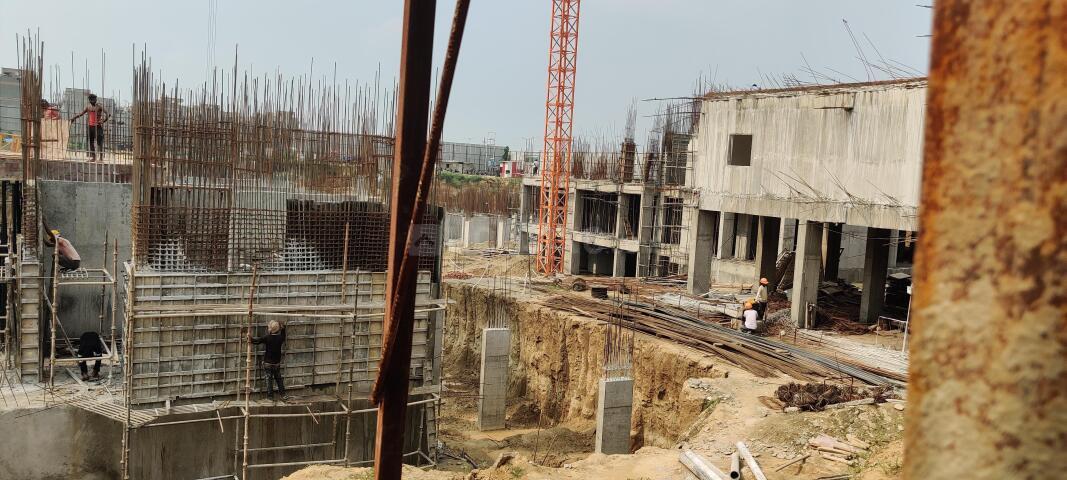 Irish Platinum - Image 35