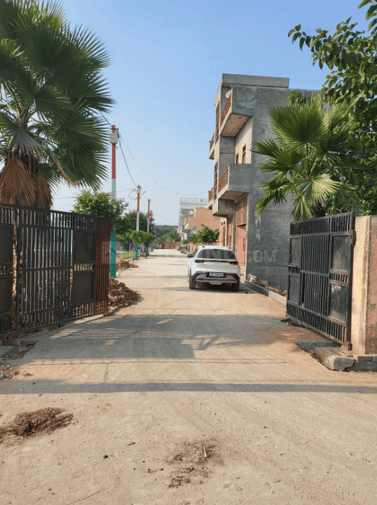 Rose N City - Image 7