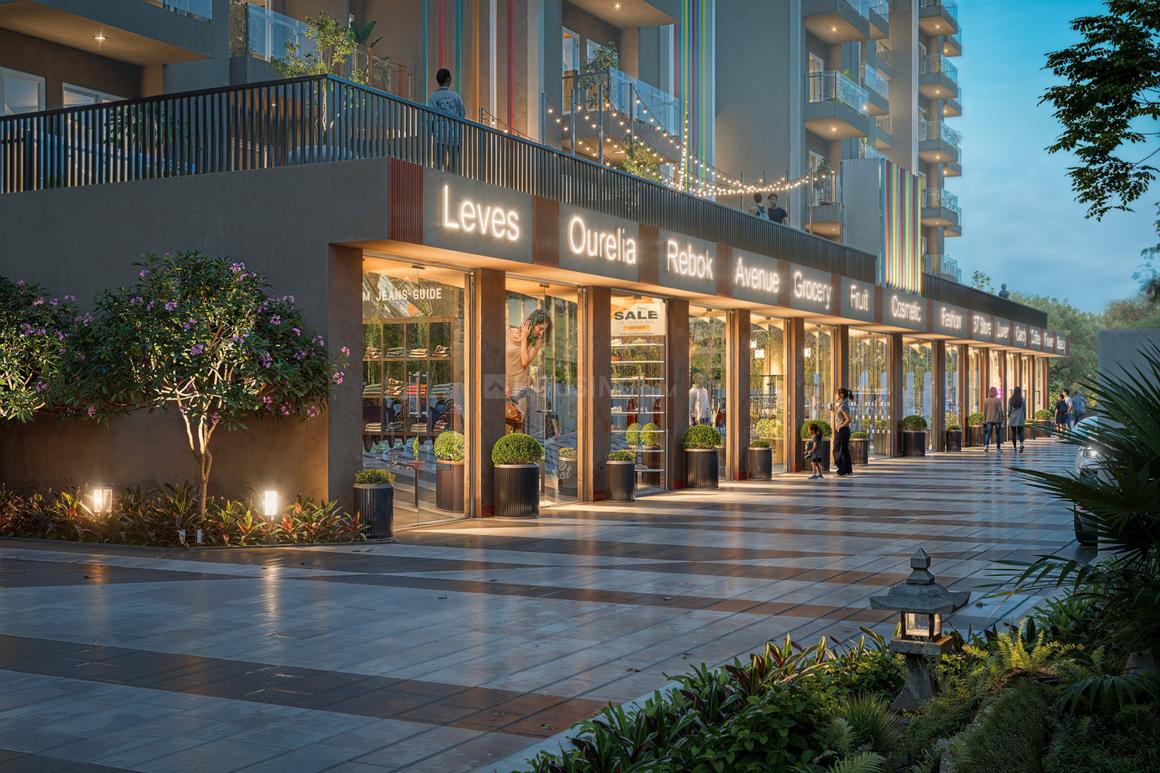 Nirala Trio - Image 10