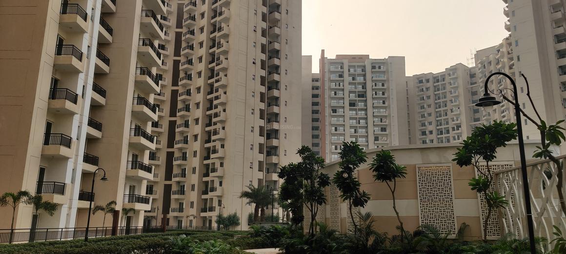 Oasis Grandstand - Image 12