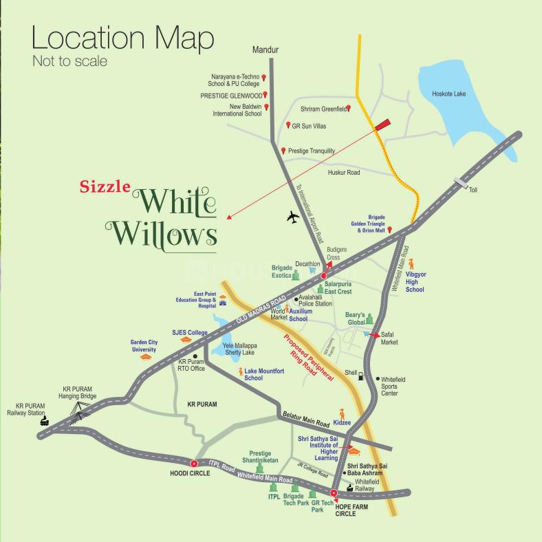 Sizzle White Willows - Image 15