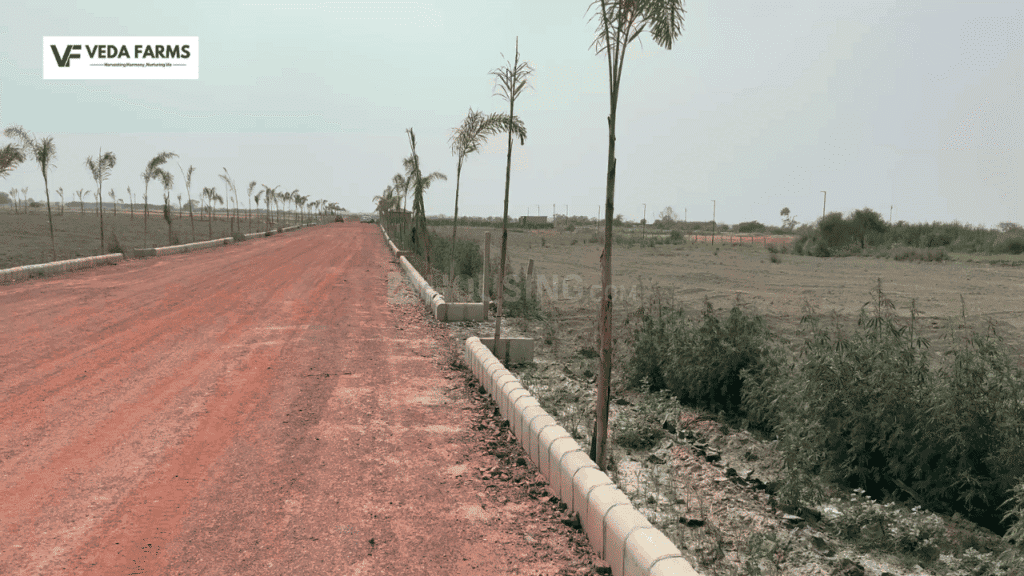 Veda Farm - Image 16