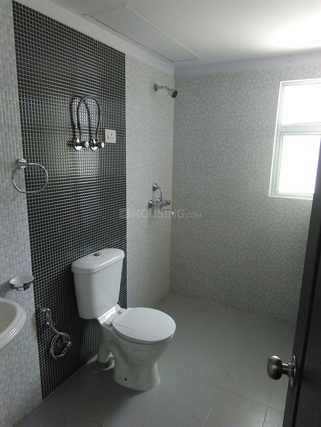 Primrose Ryne - Image 24