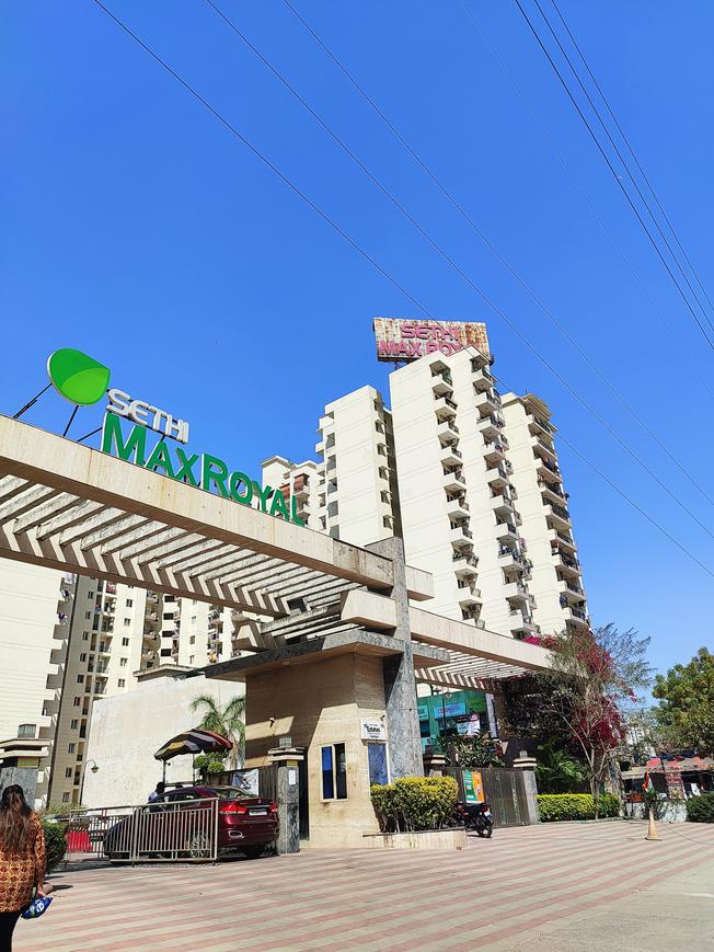 Sethi Max Royal - Image 4