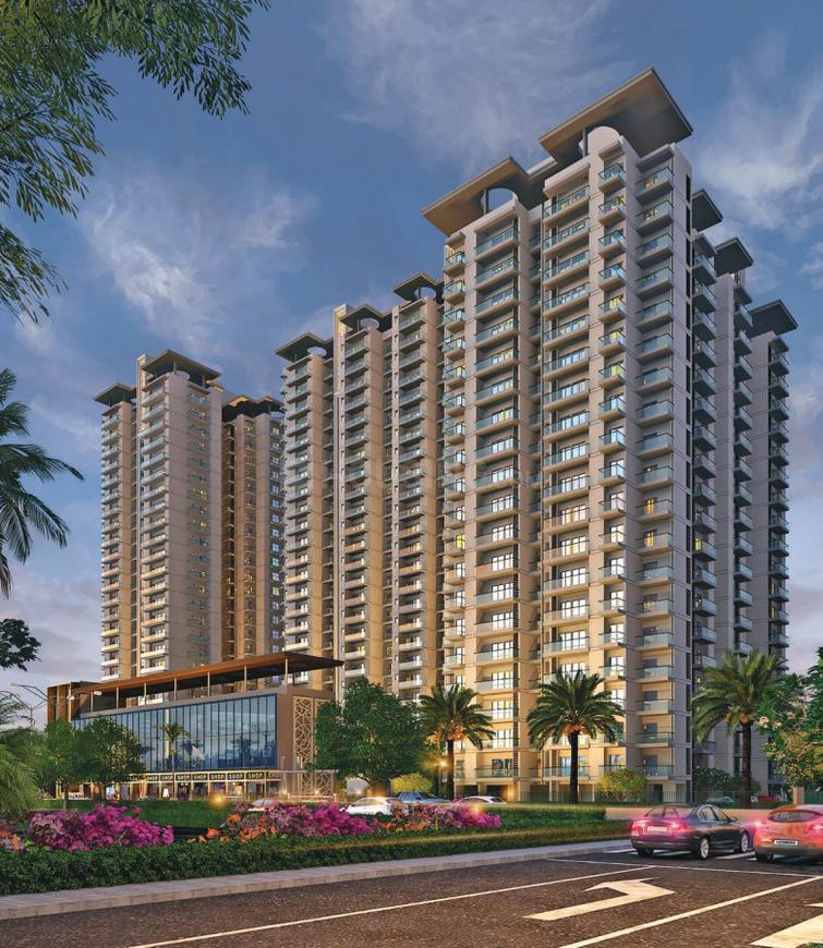 Renox Thrive - Image 4