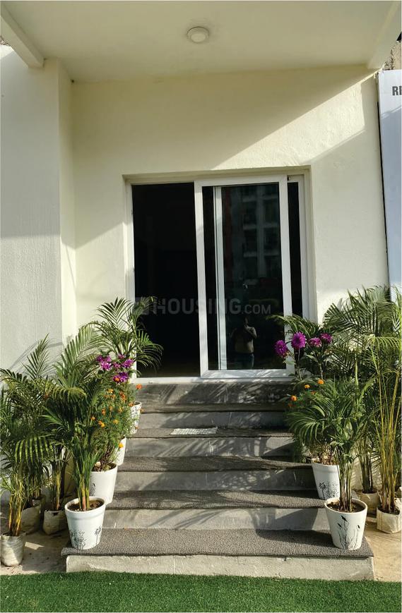 Beetle Orchid - Image 20