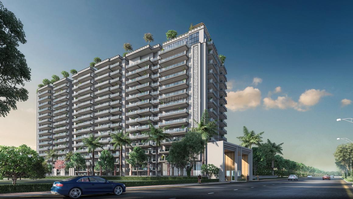 Windsor Majesty - Image 4