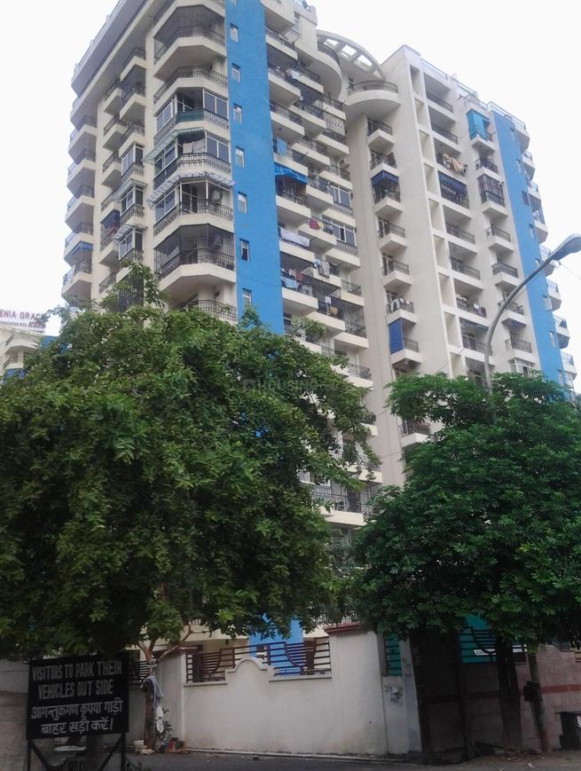 Gardenia Grace - Image 6