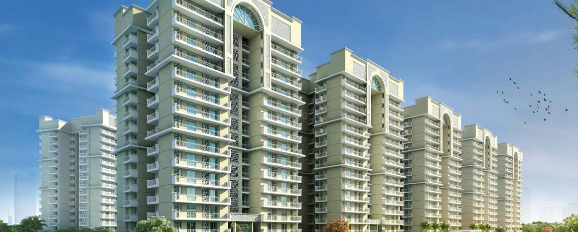 Sethi Venice - Image 12