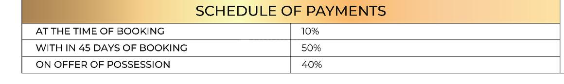 Express Zenith - Image 15