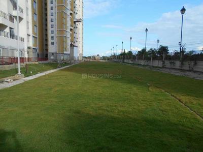3 BHK Apartment