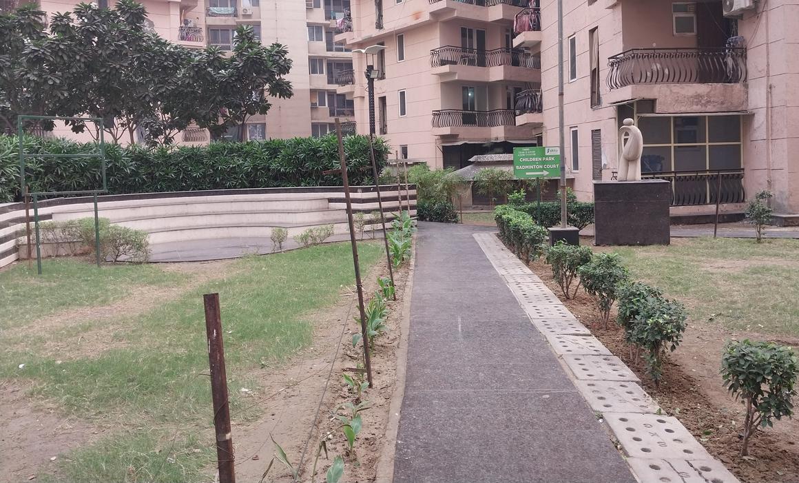 Sikka Karmic Greens - Image 37