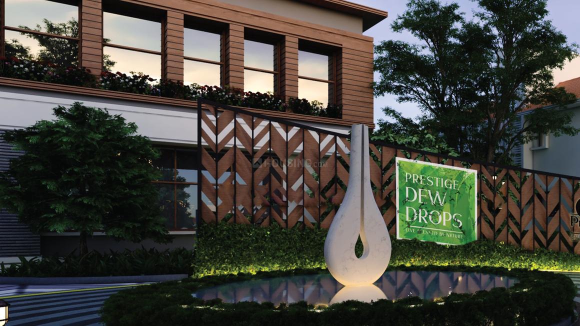 Prestige Dew Drops - Image 5