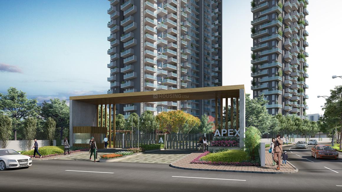 Apex D Rio - Image 25