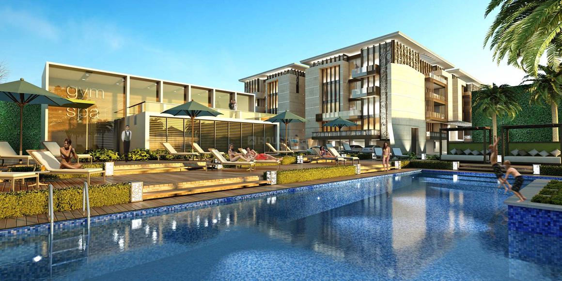 Aarone Botanica - Image 8