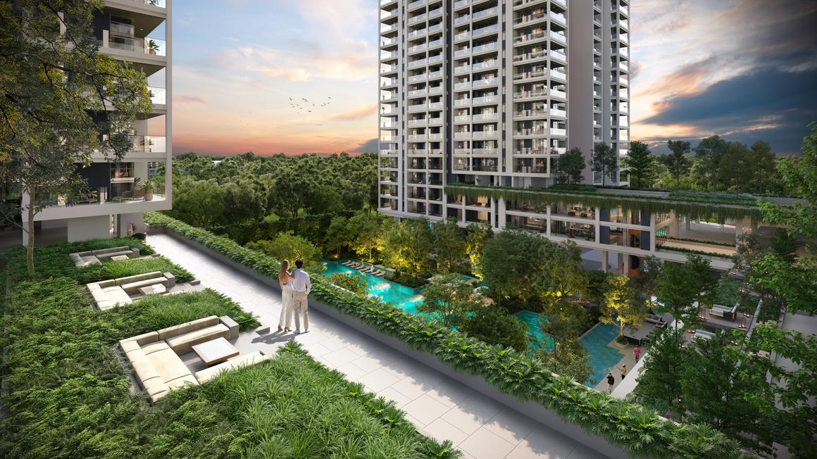 TARC Kailasaa - Image 8