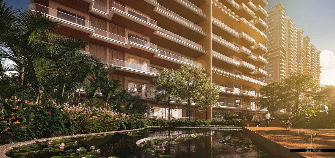 Ivory County Gold - Image 12