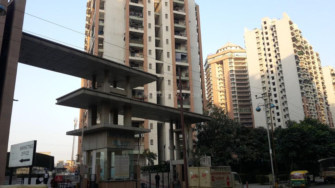 Mahagun Mascot - Image 10