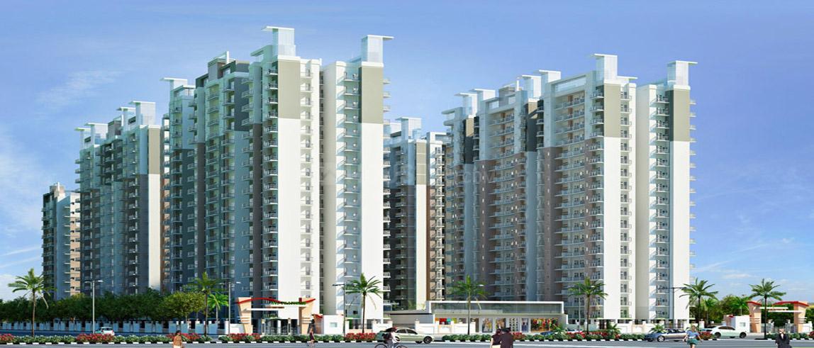 ACE Group Platinum Zeta 1 - Image 18