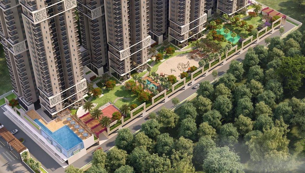 Ratan Pearls - Image 25