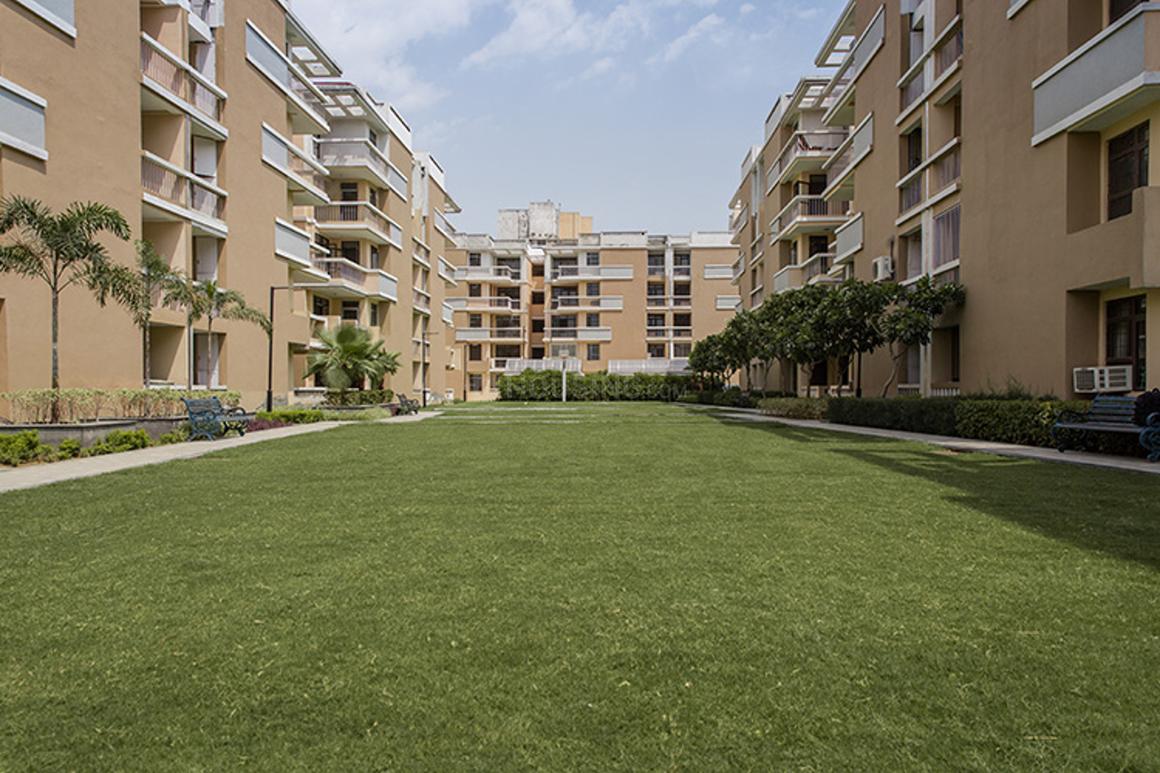 Eldeco Mystic Greens - Image 10