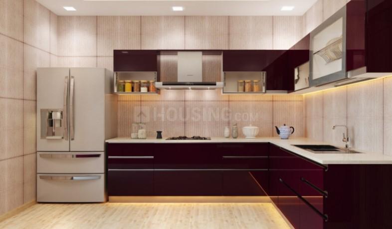 Venice County - Image 12