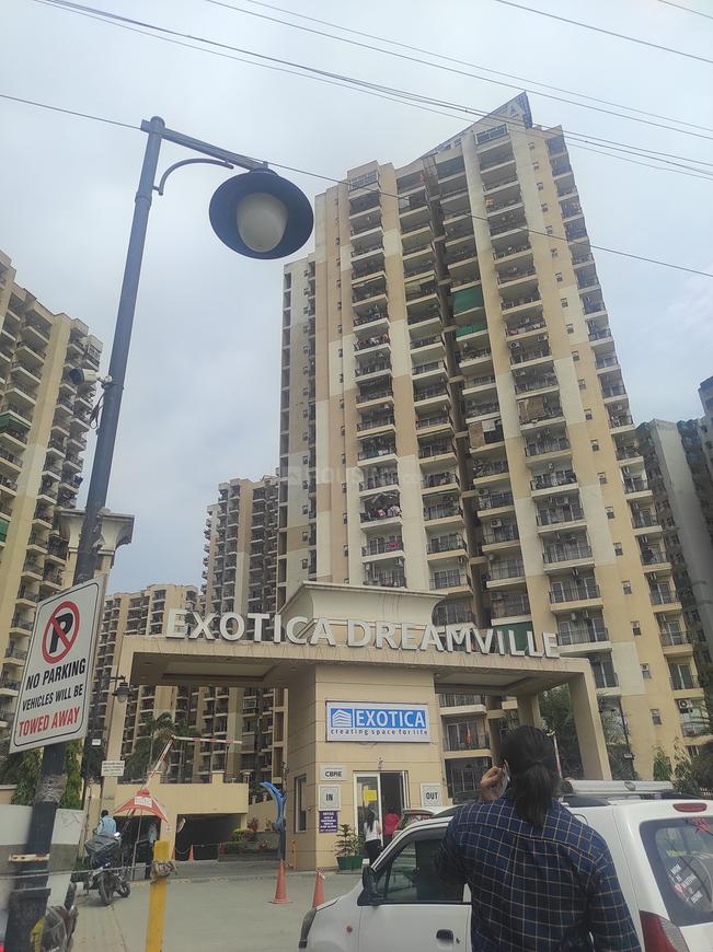 Exotica Dreamville - Image 6