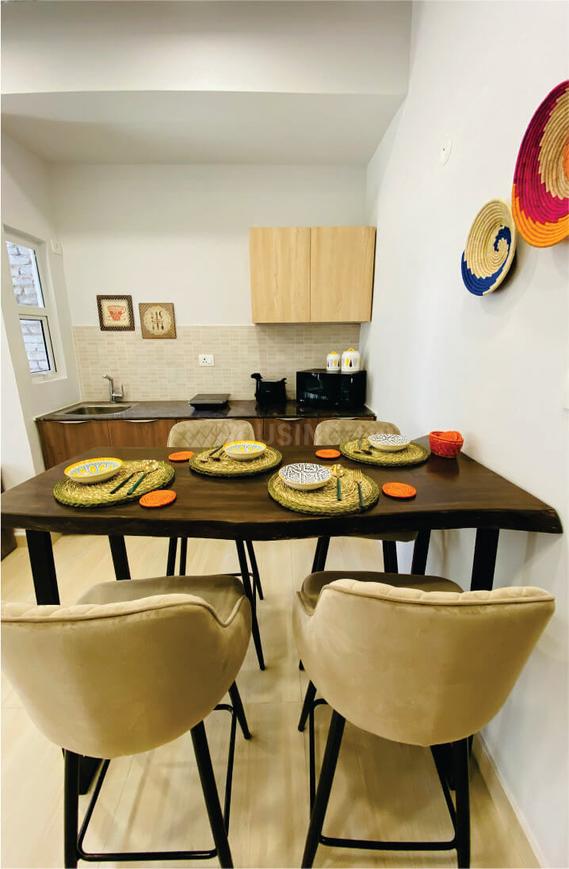 Beetle Orchid - Image 16