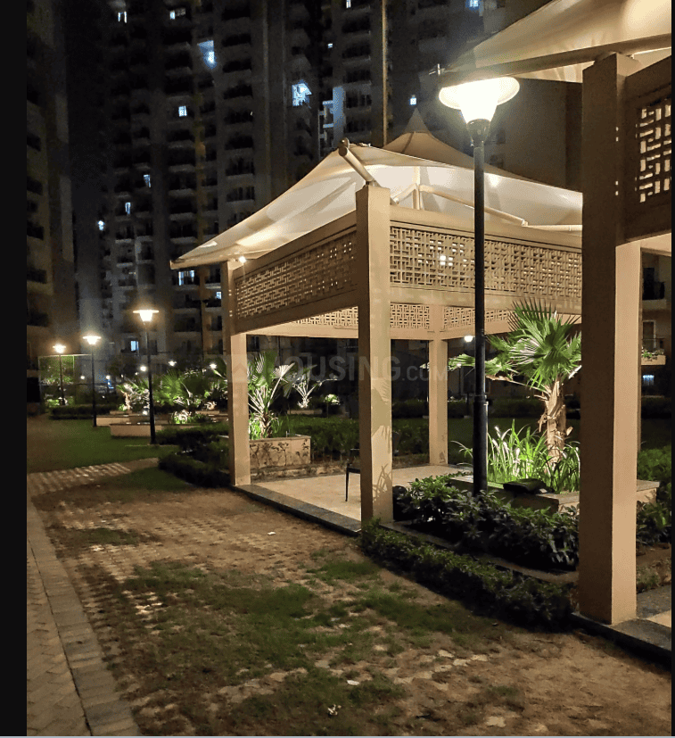 Exotica Dreamville - Image 28