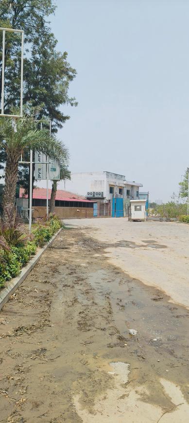 Pyramid Palm County - Image 13