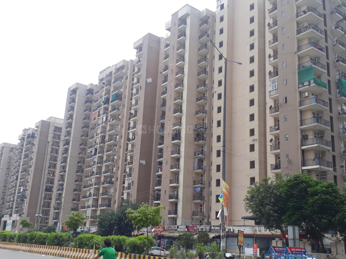 Skytech Matrott - Image 6