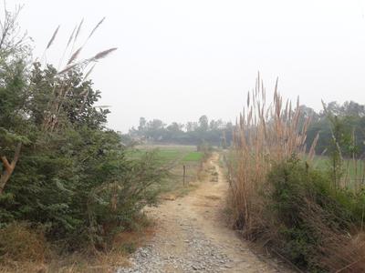 Gallery Cover Pic of Sun Midcity Farms