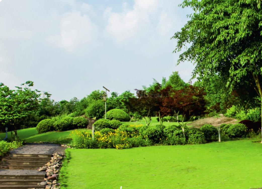 3B Homes Pataudi One - Image 2