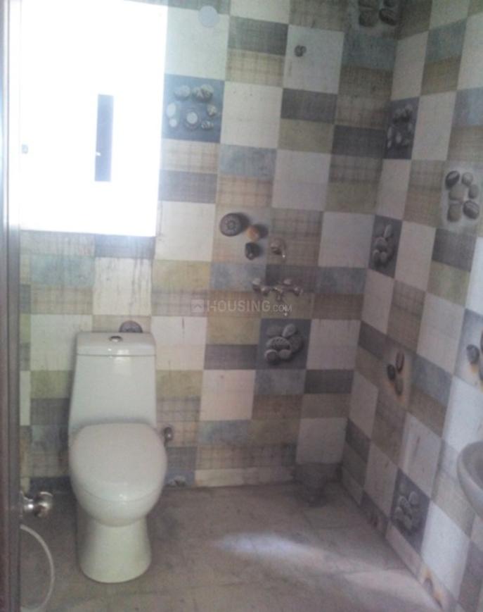 Town White Orchid - Image 10