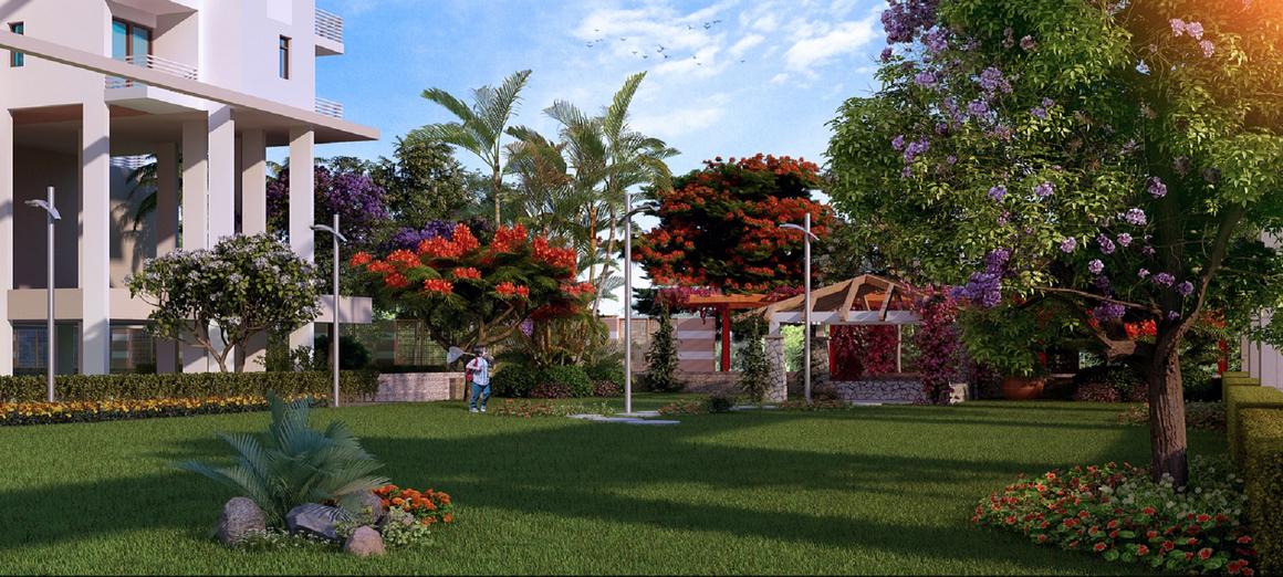 Ratan Pearls - Image 27