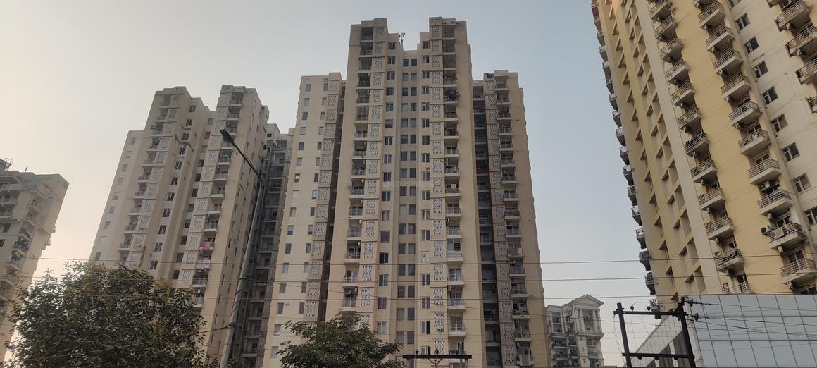 Urbtech Xaviers - Image 9