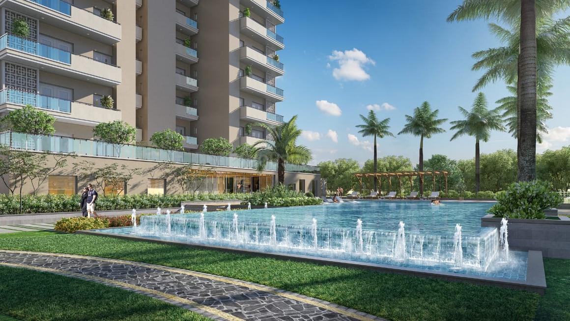 Irish Pearls - Image 15