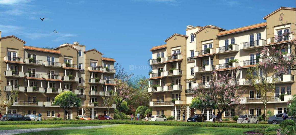 Emaar Emerald Floors Premier - Image 11