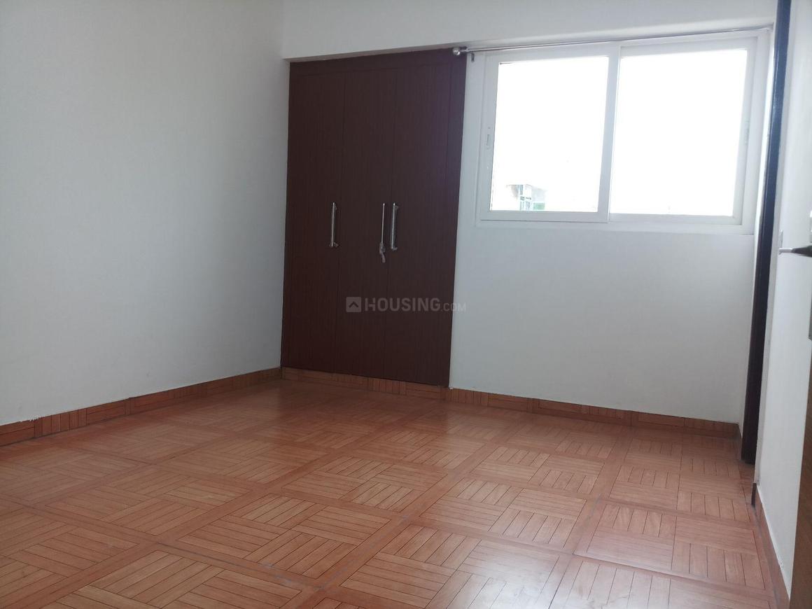 Saya Zion - Image 18