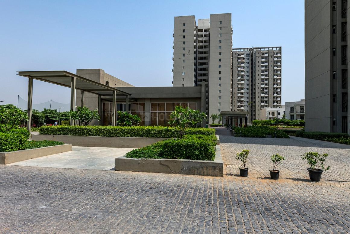 Vatika The Seven Lamps - Image 5