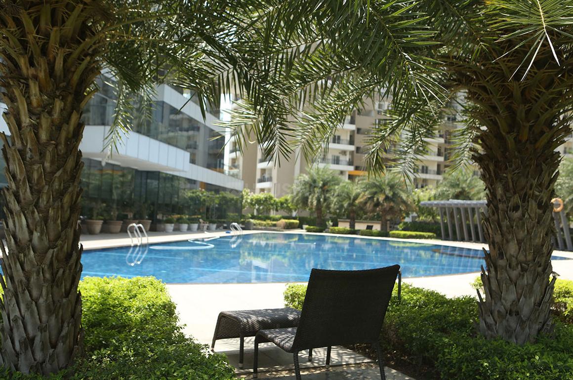 Gulshan Ikebana - Image 18