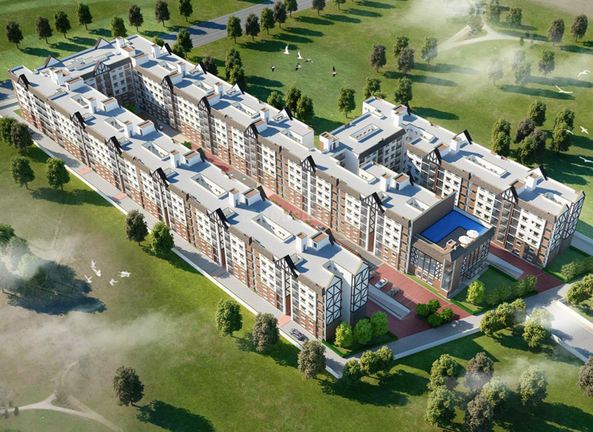 SJR Hamilton Homes - Image 10