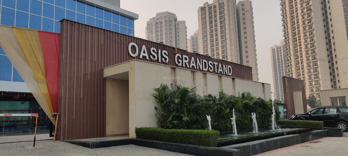 Oasis Grandstand - Image 14